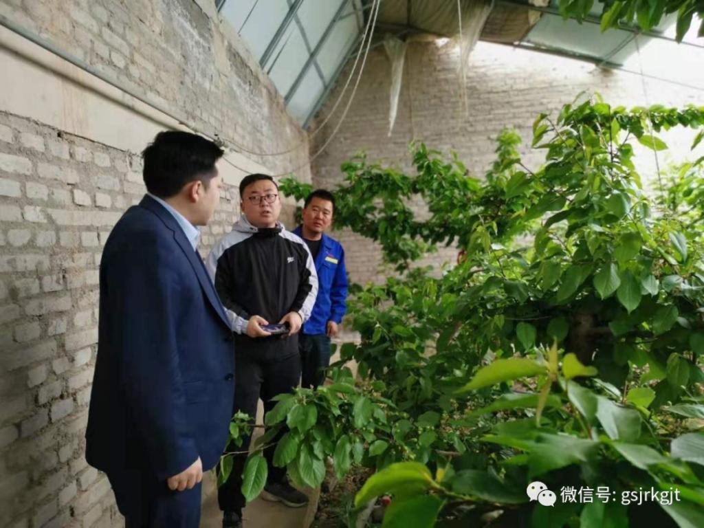 金控酒泉擔保開展專項保后檢查工作