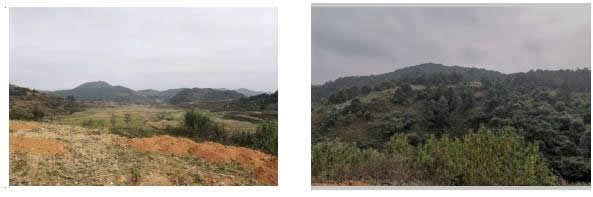 201912021575256837653437.jpg 企業(yè)微信截圖_20191202110206.jpg